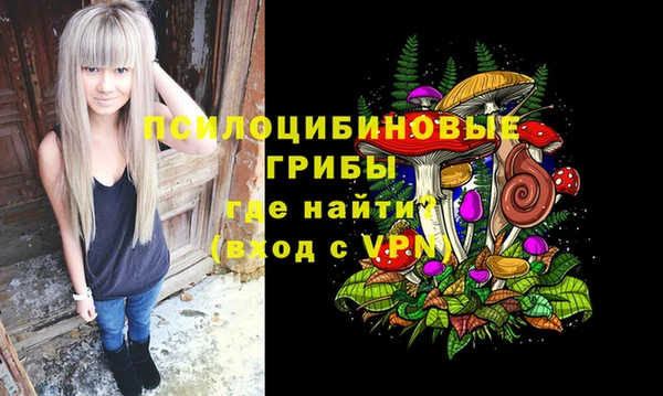 эйфоретик Горнозаводск