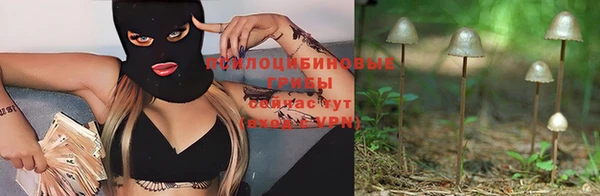 метадон Горняк