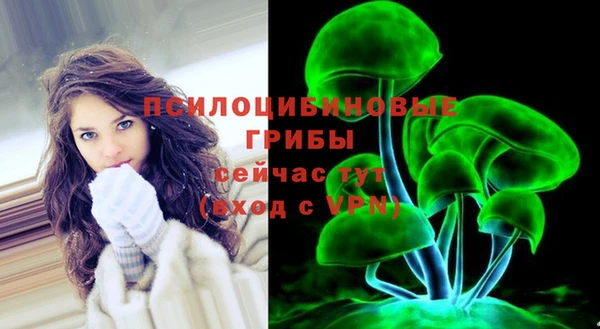 стафф Горно-Алтайск